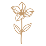 Flor 34 - Vector descarganle para corte CNC y grabado laser gratis | Stanser
