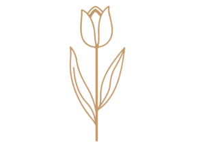 Flor 37