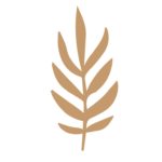 Flor 39 - Vector descarganle para corte CNC y grabado laser gratis | Stanser