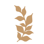 Flor 41 - Vector descarganle para corte CNC y grabado laser gratis | Stanser