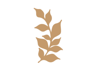 Flor 41