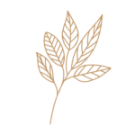 Flor 46 - Vector descarganle para corte CNC y grabado laser gratis | Stanser
