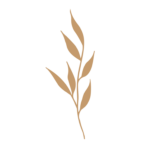 Flor 48 - Vector descarganle para corte CNC y grabado laser gratis | Stanser