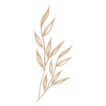 Flor 49 - Vector descarganle para corte CNC y grabado laser gratis | Stanser
