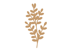 Flor 50