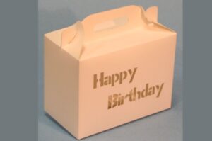Caja para lunch #2