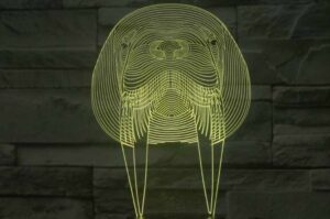 Lámpara de acrílico «Morsa»