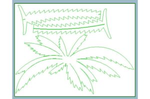 Palmera