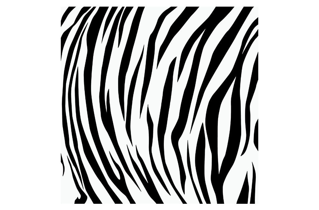 Animal print tigre blanco