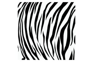 Animal print tigre blanco