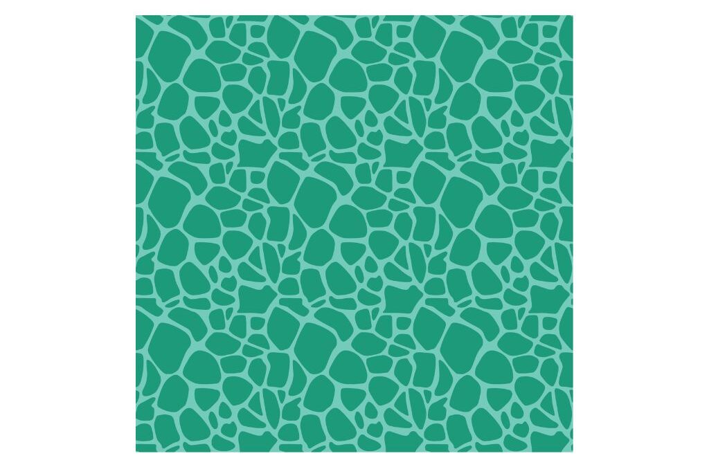 Animal print tortuga