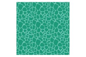 Animal print tortuga