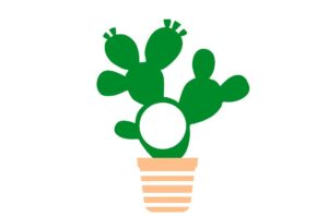 Cactus 8