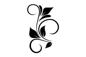 Espiral decorativa con hojas