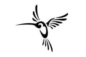 Colibrí