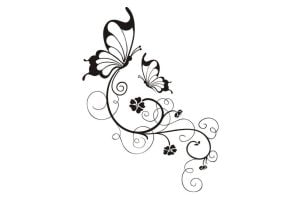 Mariposas y espirales