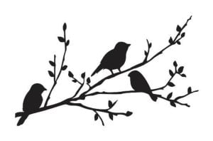 Pájaros en rama