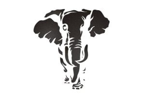 Elefante