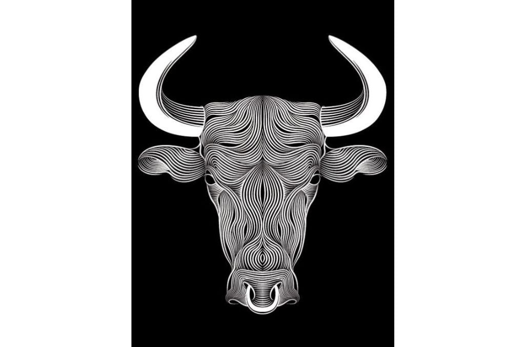 Toro — vector para corte CNC