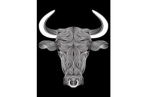 Toro
