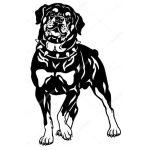 vector descargable para reproducir el diseño de un Perro Rottweiler.  Utiliza tu máquina de corte CNC para la realización de este proyecto.