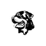 vector descargable para reproducir el diseño de una cabeza de Rottweiler.  Utiliza tu máquina de corte CNC