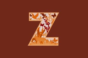 Letra Z multicapa tridimensional